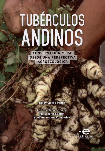 Tubérculos andinos. Conservaci...