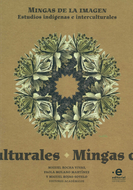 Mingas de la imagen. Estudios ...