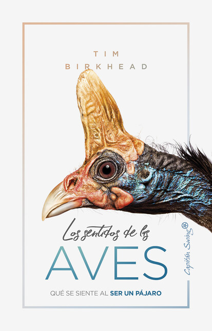 Los sentidos de las aves. Qué ...