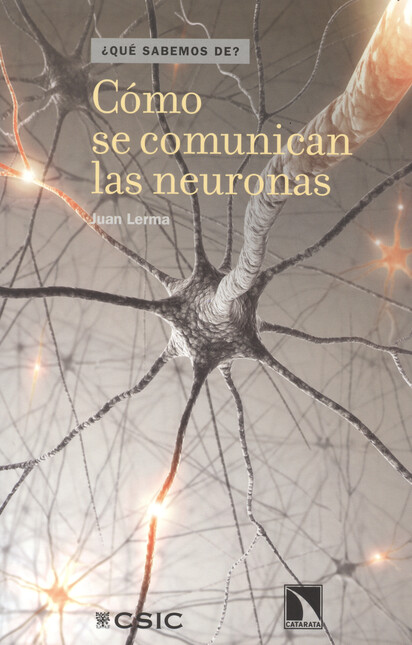 Cómo se comunican las neuronas