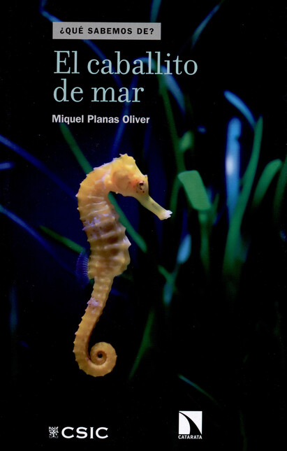 El caballito de mar