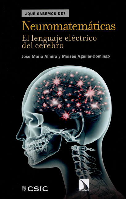 Neuromatemáticas. El lenguaje ...