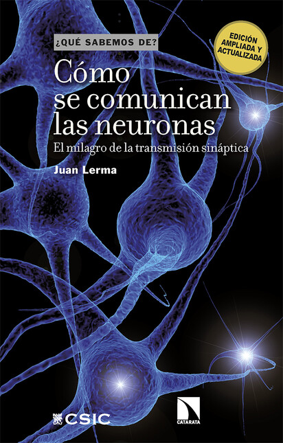 Cómo se comunican las neuronas...