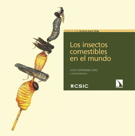 Los insectos comestibles en el...