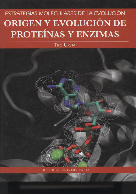 Origen y evolución de proteína...