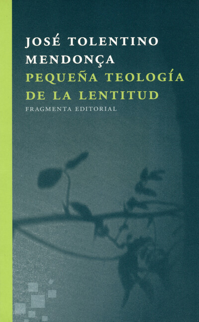Pequeña teología de la lentitu...