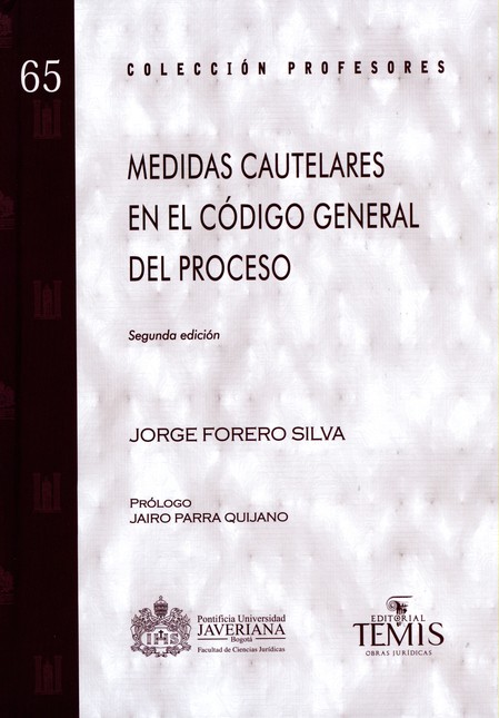 Medidas cautelares en el Códig...