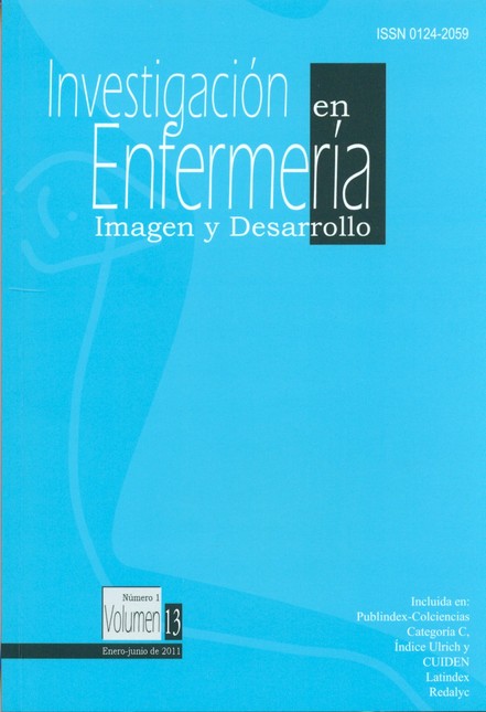 Revista Investigación en Enfer...