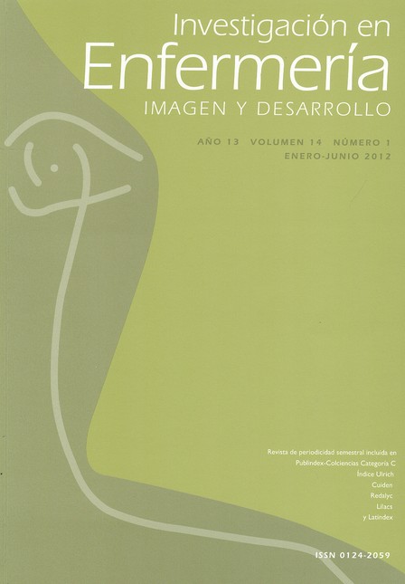 Revista Investigación en Enfer...