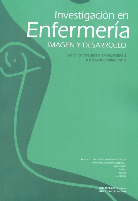 Revista Investigación en enfer...