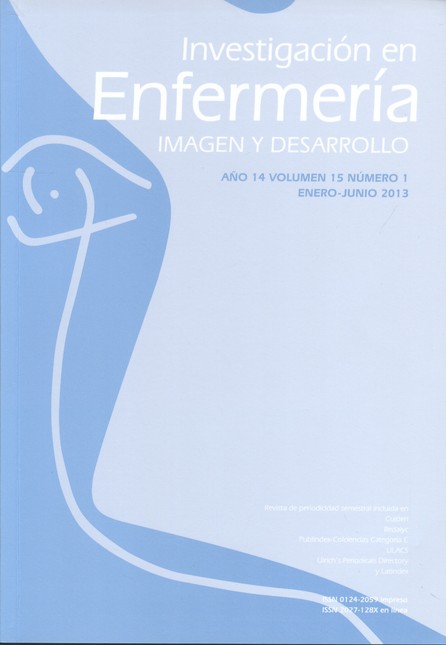 Revista Investigación en Enfer...