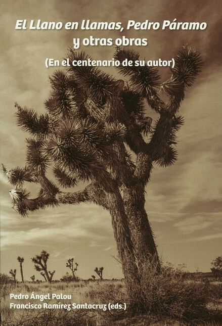 El llano en llamas, Pedro Pára...