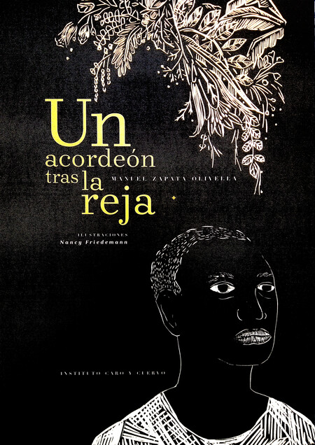 Un acordeón tras la reja
