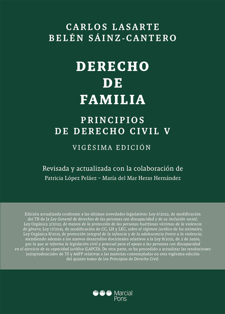 Principios de Derecho civil. T...