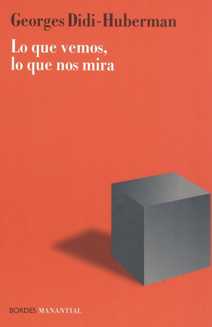 Lo que vemos, lo que nos mira