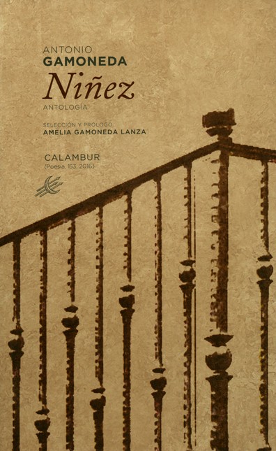 Niñez