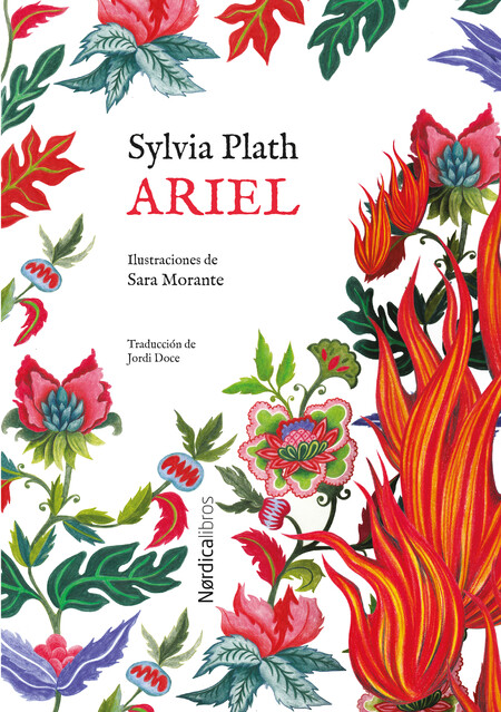 Ariel