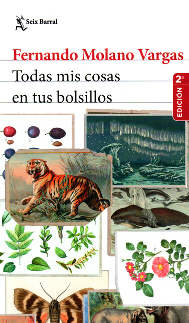 todas mis cosas en tus bolsill...