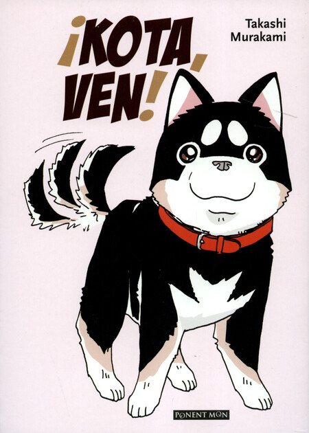 Kota, ven