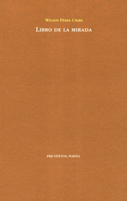 Libro de la mirada