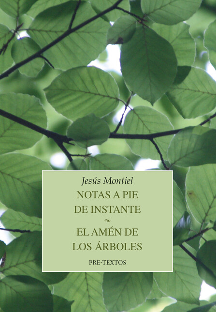 Notas a pie de instante. El am...
