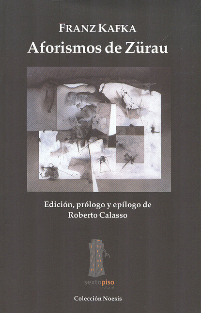 Aforismos de Zürau