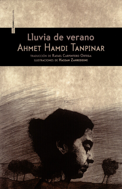 Lluvia de verano