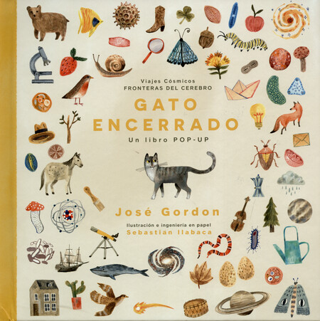 Gato encerrado