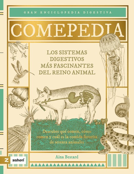 Comepedia. Los sistemas digest...