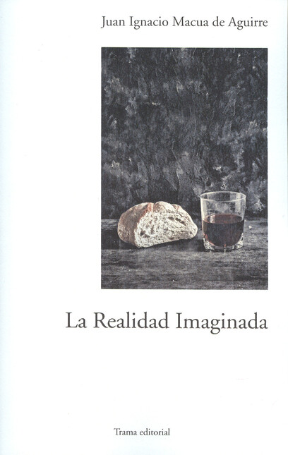 La realidad imaginada