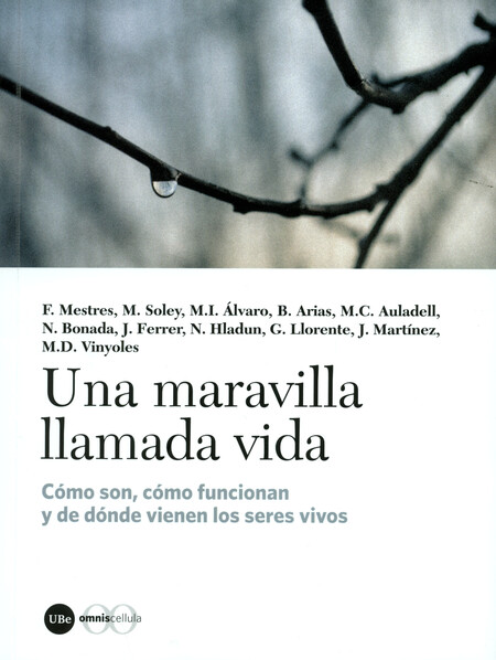 Una maravilla llamada vida. Có...