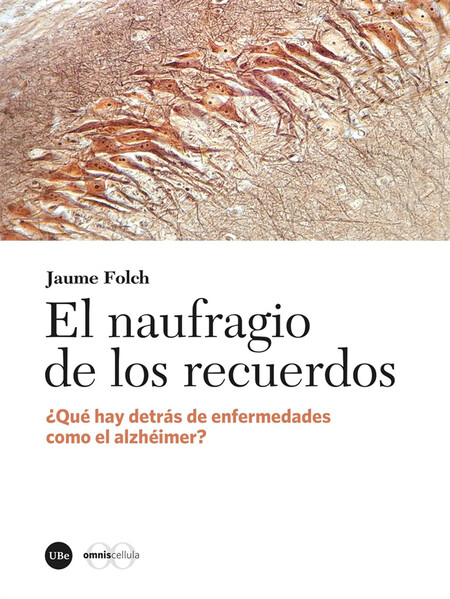 El naufragio de los recuerdos....