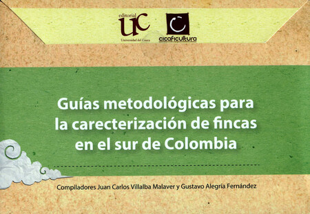 Guías metodológicas para la ca...