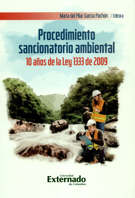 Procedimiento sancionatorio am...