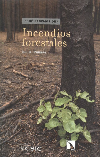 Incendios forestales