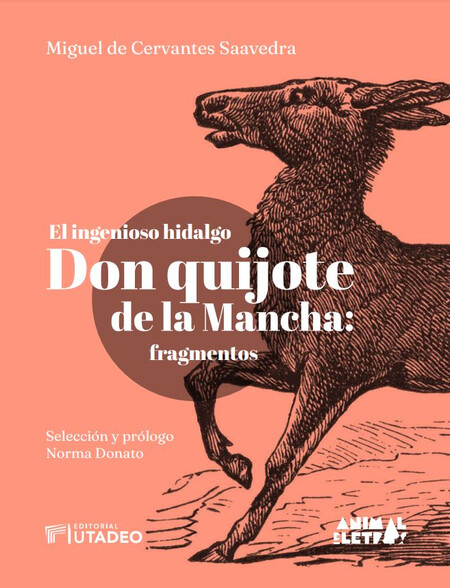 El ingenioso Hidalgo Don Quijo...