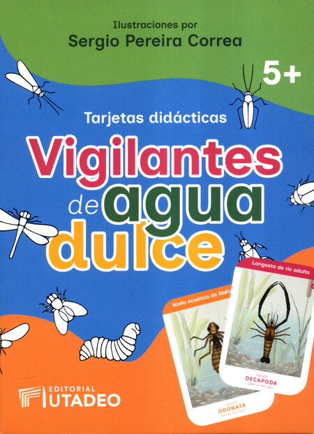 Tarjetas didácticas. Vigilante...