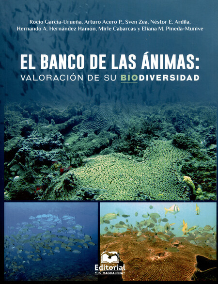 El banco de las ánimas: valora...