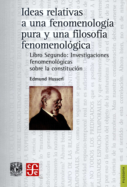 Ideas relativas a una fenomeno...