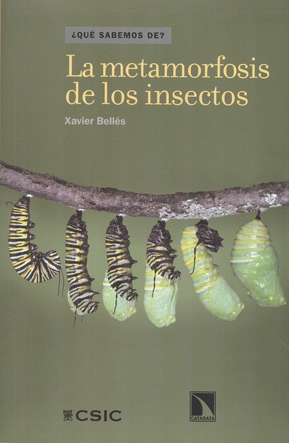 La metamorfosis de los insecto...