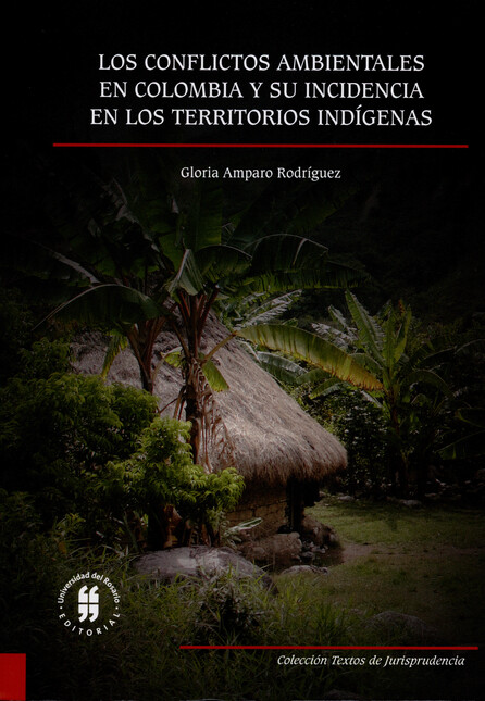 Los conflictos ambientales en ...