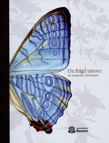 Un frágil tesoro: las mariposa...