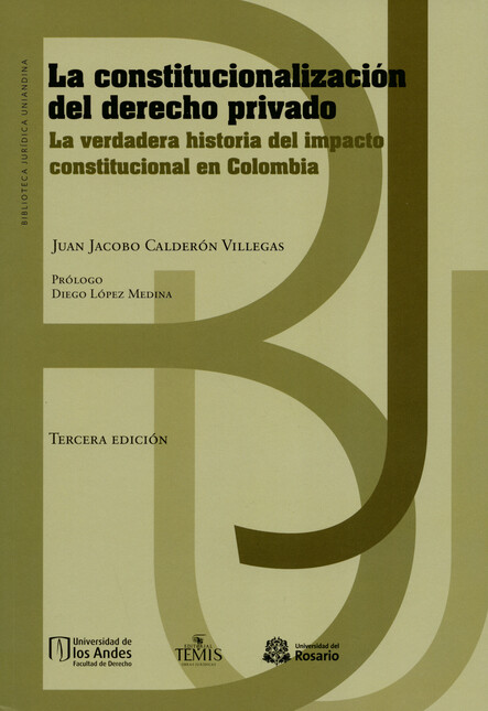 La constitucionalización del d...