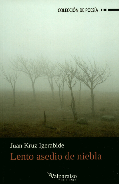 Lento asedio de niebla