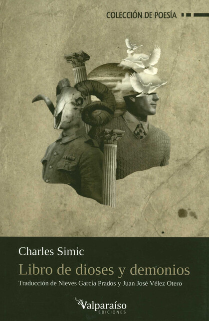 Libro de dioses y demonios