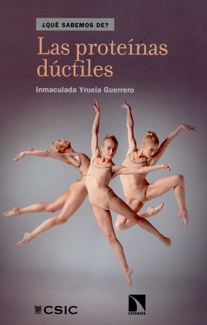Las proteínas dúctiles