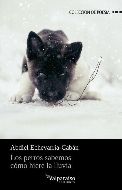 Los perros sabemos como hiere ...