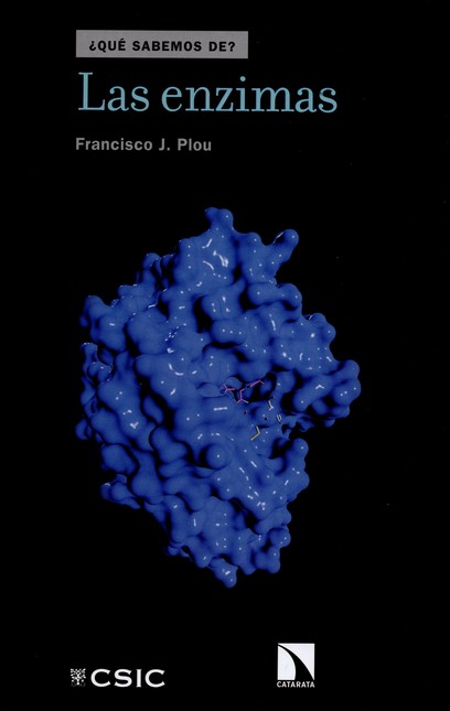 Las enzimas