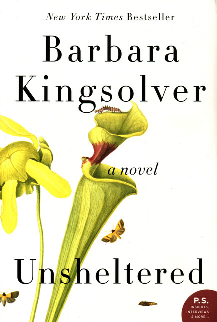 Unsheltered