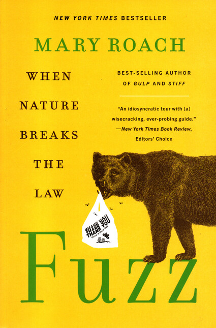 Fuzz. When the Nature Breaks t...